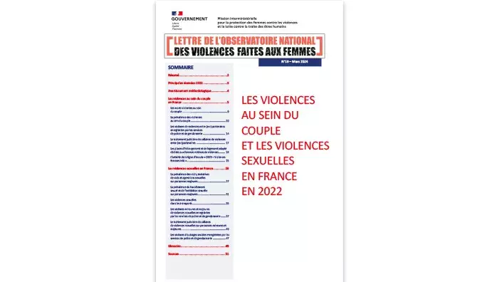 Visuel de la lettre d'observation nationale des violences faites aux femmes