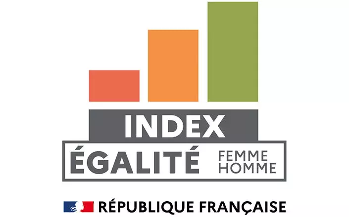 Index égalité femme homme